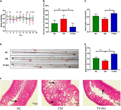 Bifidobacterium lactis TY-S01 Prevents Loperamide-Induced Constipation by Modulating Gut Microbiota and Its Metabolites in Mice